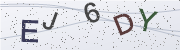 Enter the characters shown above